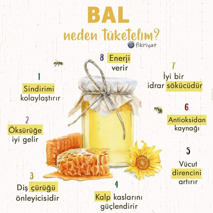 KESTANE BALI´NIN İYİ GELDİĞİ HASTALIKLAR VE KULLANIM ŞEKİLLERİ