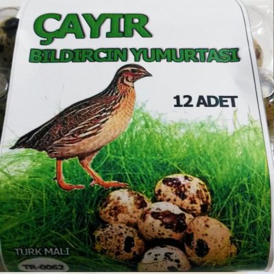 Bıldırcın Yumurtası